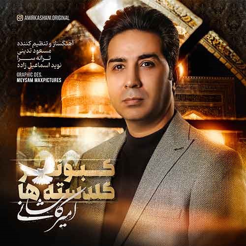 امیر کاشانی کبوتر گلدسته ها